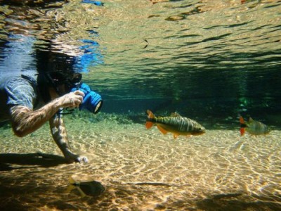 Bonito-fotosbaquatica