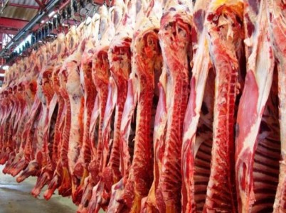 carne bovina-foto-sna