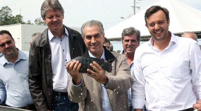 tilapia-frigorifo aparecida taboado