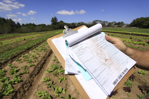 contabilidade rural