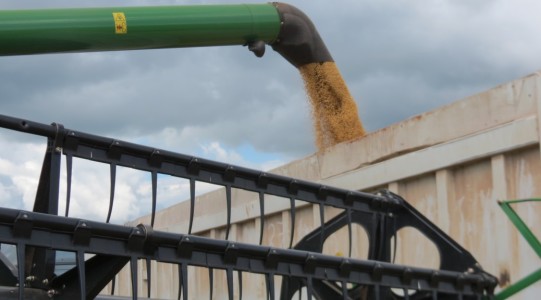 Grãos continuam sendo o grande destaque da balança comercial do Estado, representando 36% do total exportado