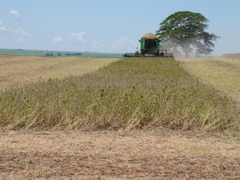Fazenda_S_Mateus_por_Silvia_Zoche (4) (1)