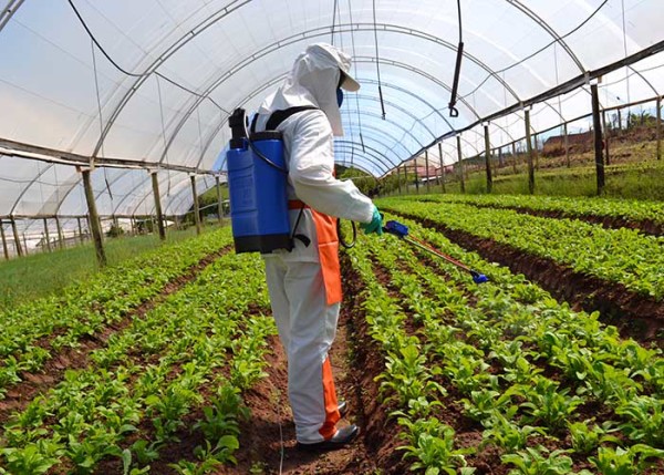 Equipamento permite que pequenos agricultores se beneficiem da pulverização elestrostática - Foto: Divulgação.