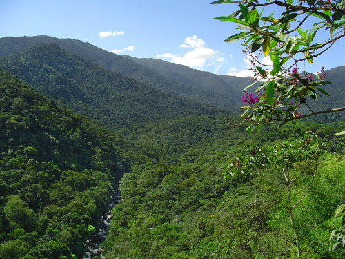 Vencedor vai explorar serviços de apoio à visitação turística e outras atividades de receptivo por 25 anos. Investimentos previstos são da ordem R$ de 17 milhões. (Foto: Divulgação).