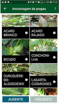 Interface do aplicativo - Foto: Divulgação