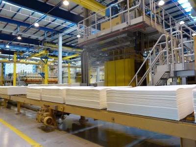 Produto continua na liderança do ranking de exportações de Mato Grosso do Sul neste início de ano, com aumento expressivo