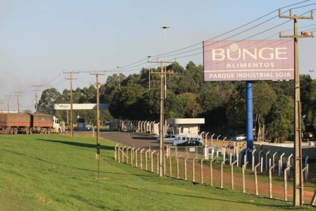 Grupo quer ampliar capacidade de processamento para 700 mil toneladas de soja