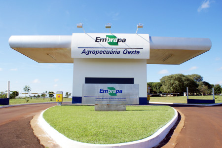 resultados em sistemas de renovação de canaviais, apresentados por pesquisadores da Embrapa Agropecuária Oeste, são referentes a estudos realizados em experimentos em áreas da Usina Sonora