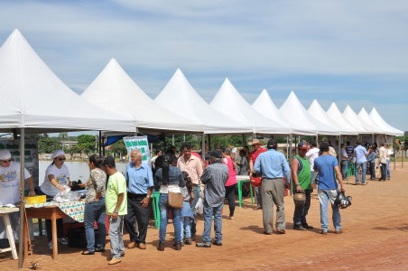 festa-peixe_0703 01