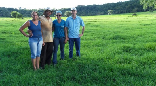 Mulheres ocupam diversos ramos de atuação na agricultura familiar no Estado