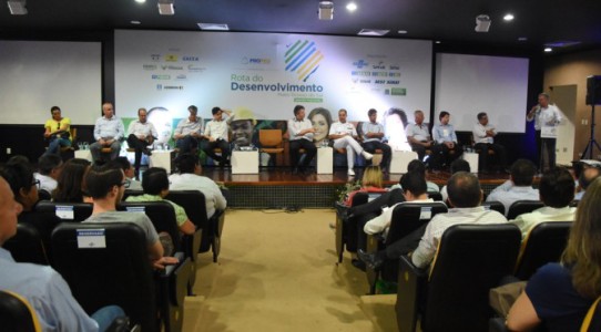 bonito-rotadesenvolvimento