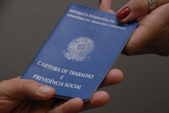criação de novas vagas com carteira assinada deu-se nos setores de: Agropecuária (384 empregos a mais), Construção Civil (21 empregos a mais) e Serviços (784 empregos a mais)