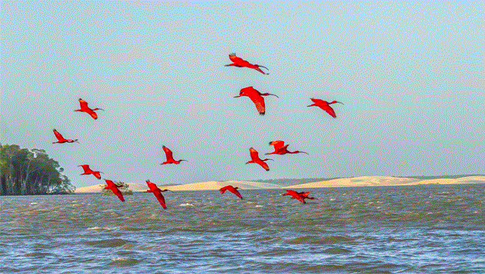 delta do parnaiba