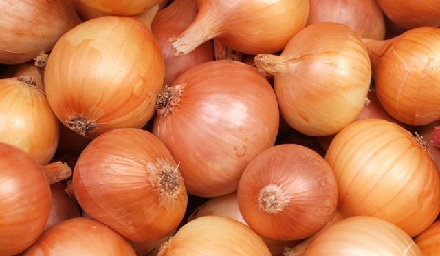 cebola