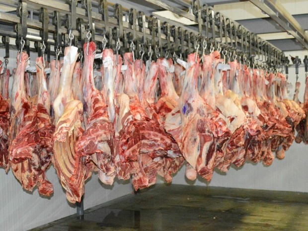 Mato Grosso do Sul tem o quinto maior rebanho bovino do país, com aproximadamente 20 milhões de cabeças - (Foto: Arquivo)