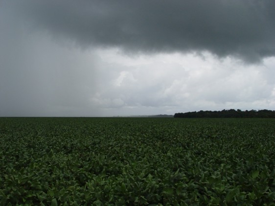 chuva-plantacao-soja