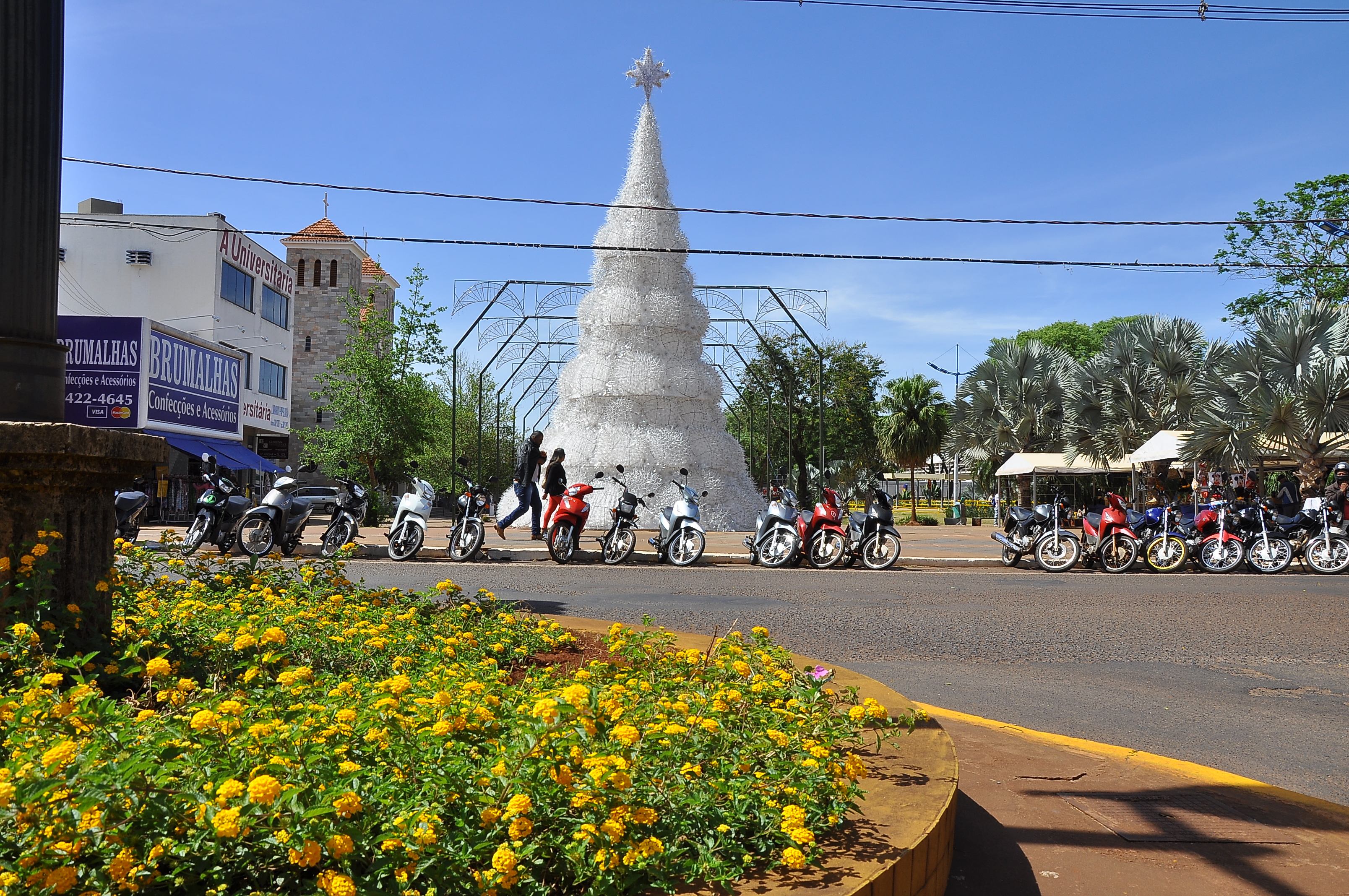 dourados-brilha_2111-03