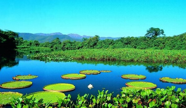 Documento foi desenvolvido pelo comitê executivo, aprovado pelo Governo Federal e apresentado em 2016 durante a 23ª Reunião do Comitê Internacional de Aconselhamento das Reservas da Biosfera - foto: Divulgação