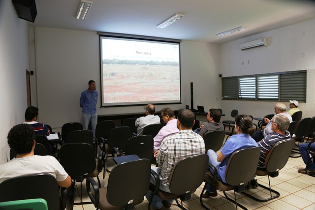curso_ilpf_por_Suelma_Bonatto (8)