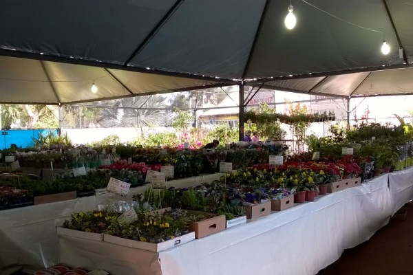 Expoflôr começa nesta quinta em Dourados. (Foto: Divulgação).