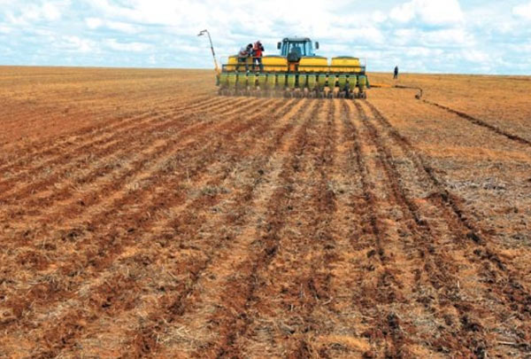 Plantio da soja é prorrogado em Dourados. (Foto: Divulgação).