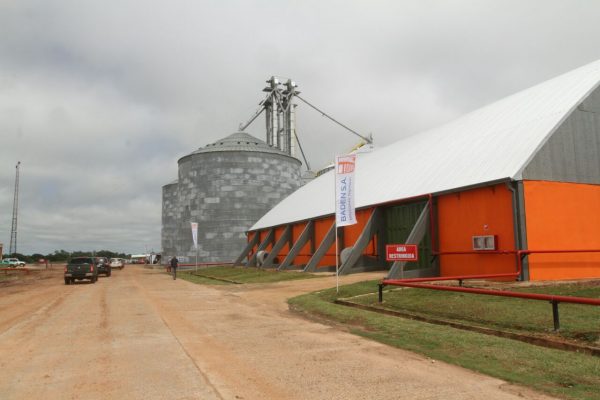 Pelo menos um milhão de toneladas de soja de MS devem ser exportadas para a Argentina pelo Porto de Concepción