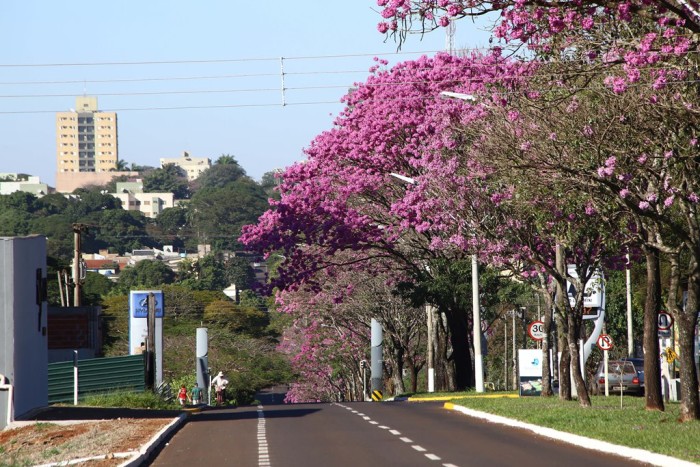 Análise da Fundtur-MS revela que Dourados já tem no turismo uma de suas principais atividades econômicas. (Foto – A. Frota).