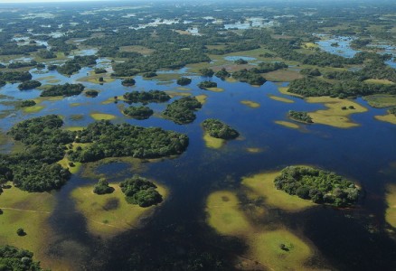 Bioma perdeu 849.897,12 hectares de sua vegetação nativa em 32 anos