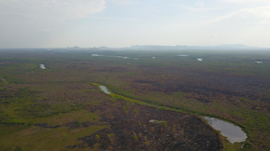 pantanal queimadas